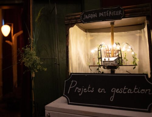 Le Micro-festival de marionnettes inachevées, un festival pas comme les autres